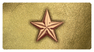 DSC700 430 CP GD Star Copper Gold